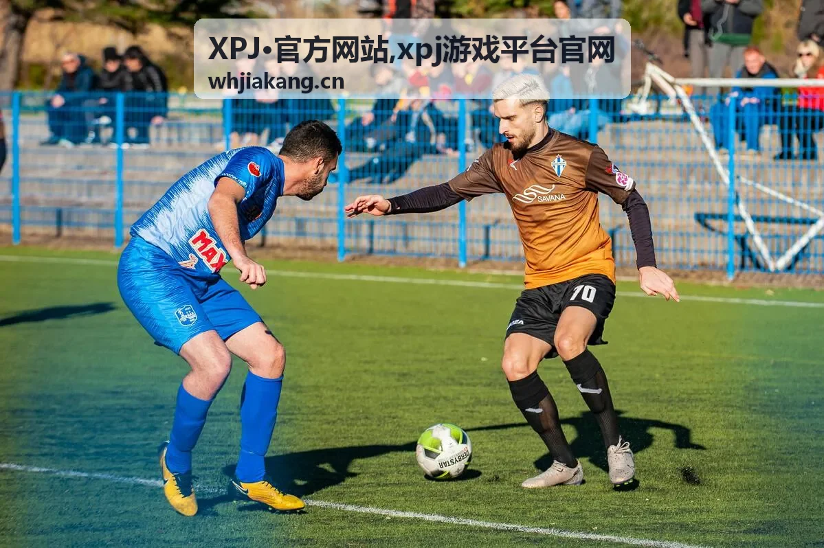 XPJ·官方网站 xpj游戏平台官网 首页视觉封面