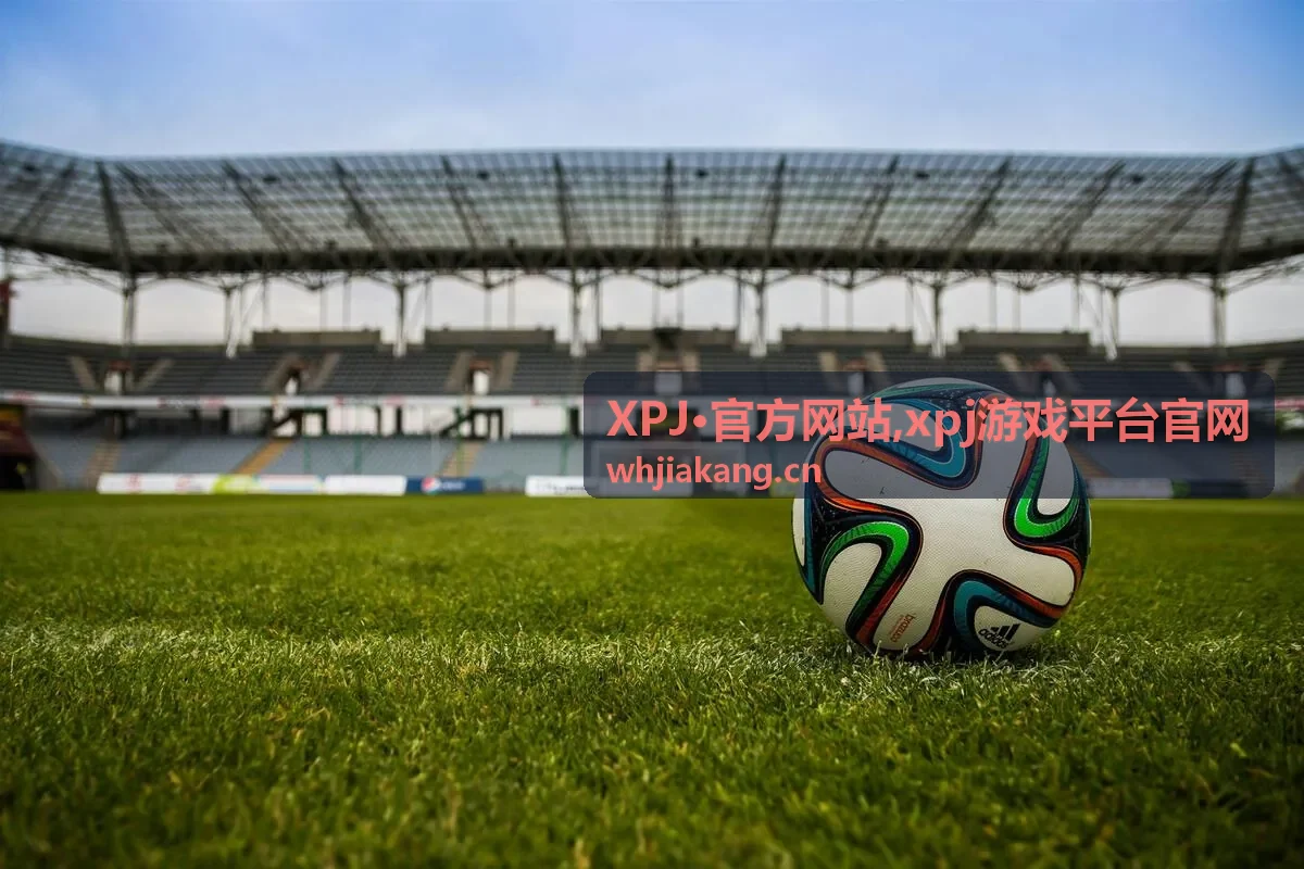 XPJ·官方网站 xpj游戏平台官网 联系支持封面