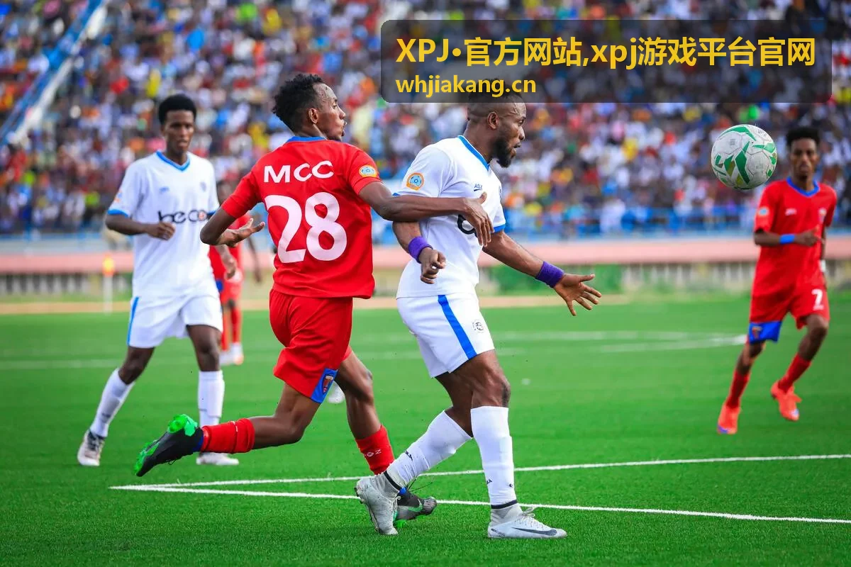 XPJ·官方网站 xpj游戏平台官网 分类内容封面图二