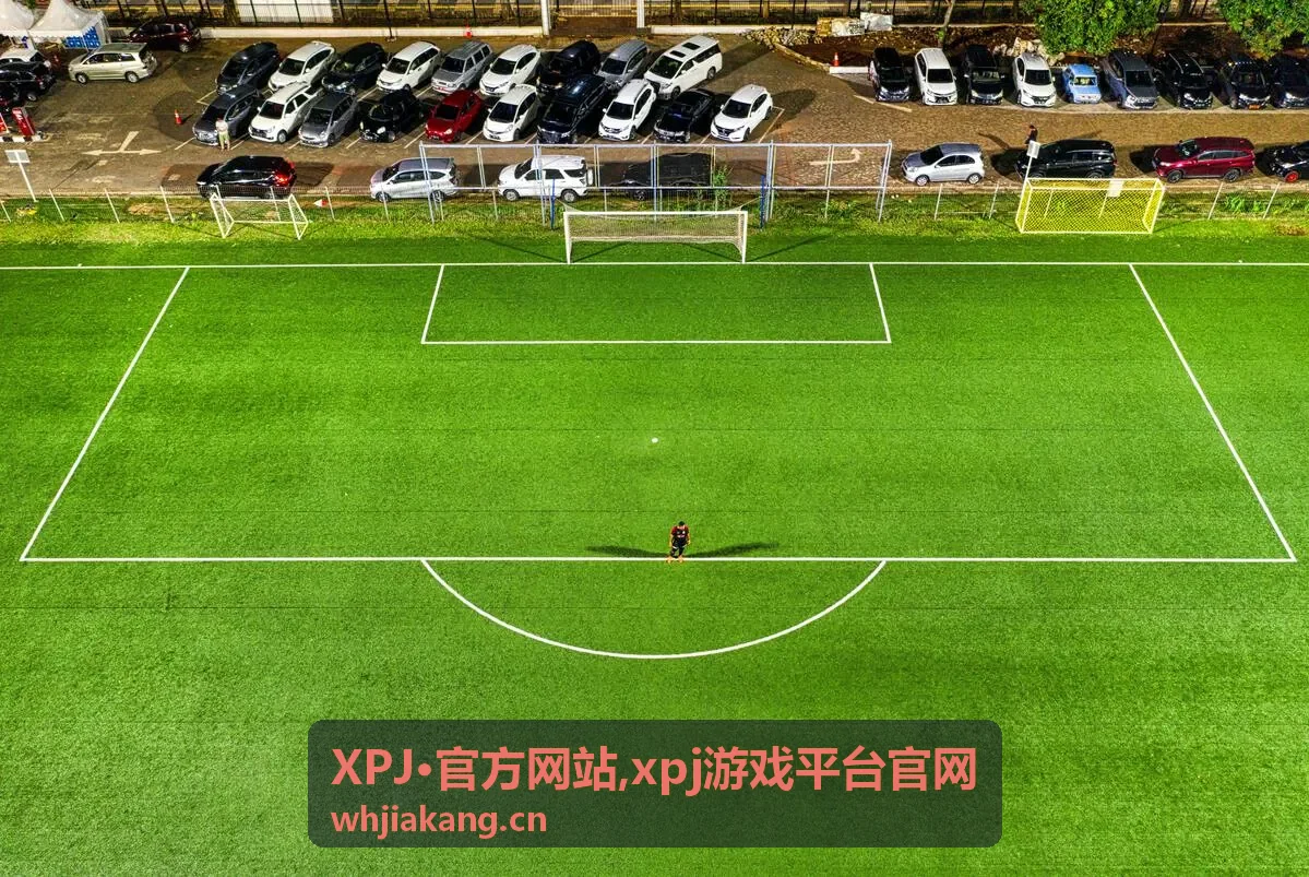 XPJ·官方网站 xpj游戏平台官网 分类内容封面图四